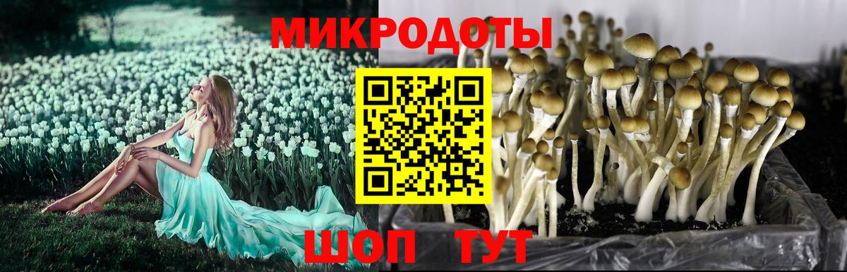 Псилоцибиновые грибы мухоморы Тольятти