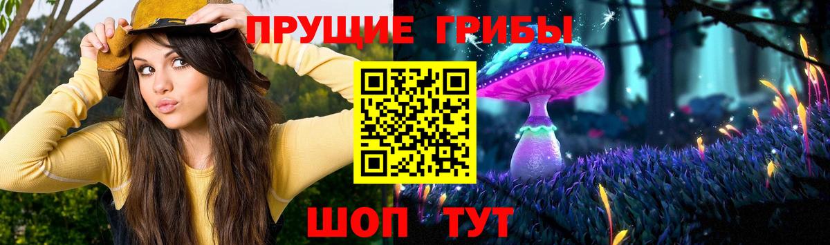 Тольятти  Галлюциногенные грибы ЛСД  Вход с VPN 